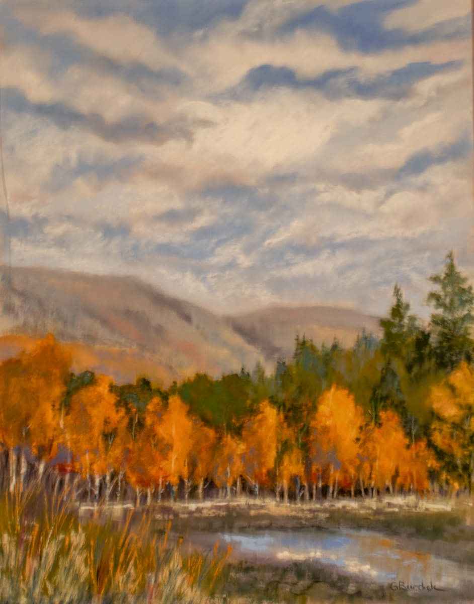 Afternoon Glow by Ginny Burdick 