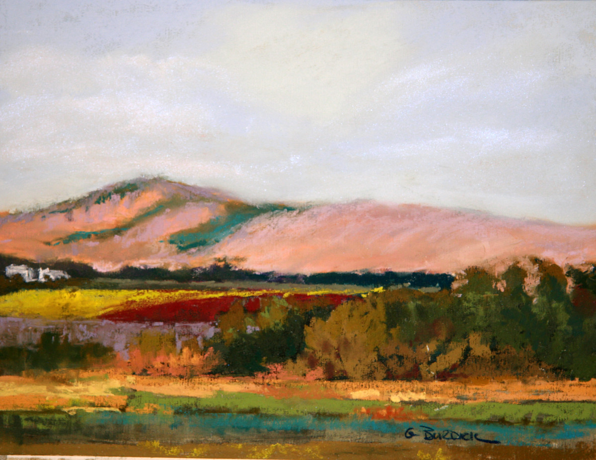 Behind the Mission by Ginny Burdick 