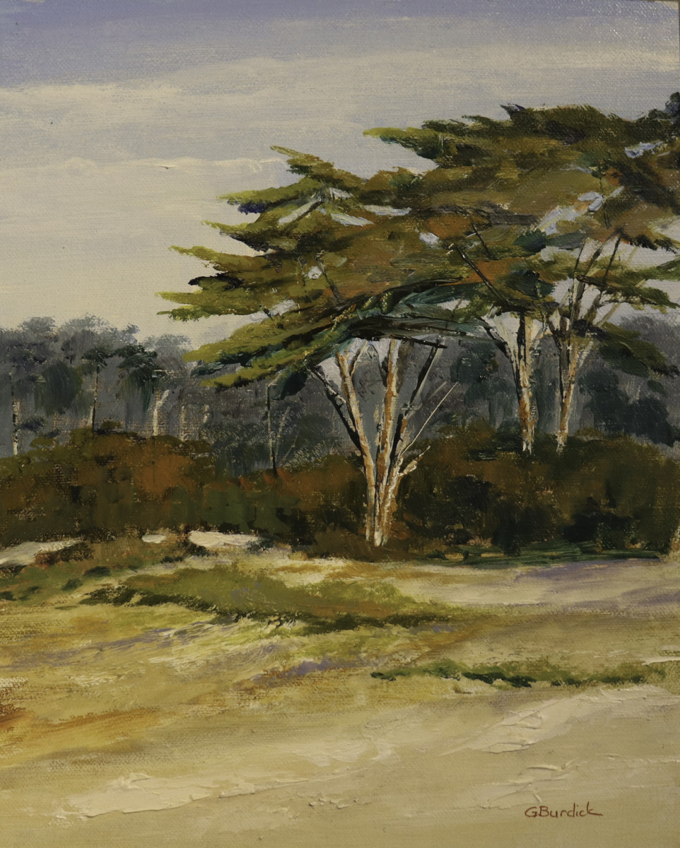 Coastal Cyress by Ginny Burdick 