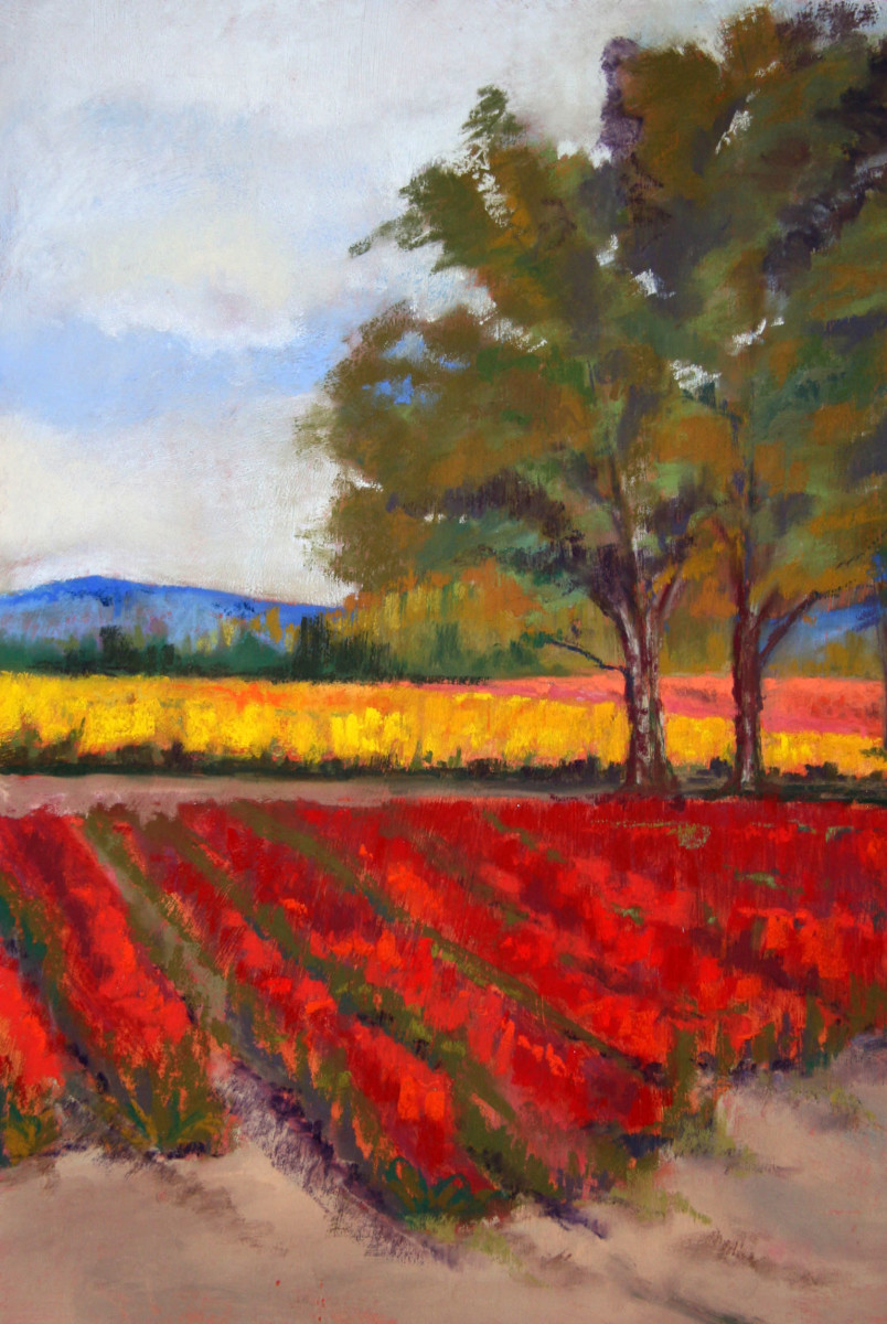 Colored Fields by Ginny Burdick 
