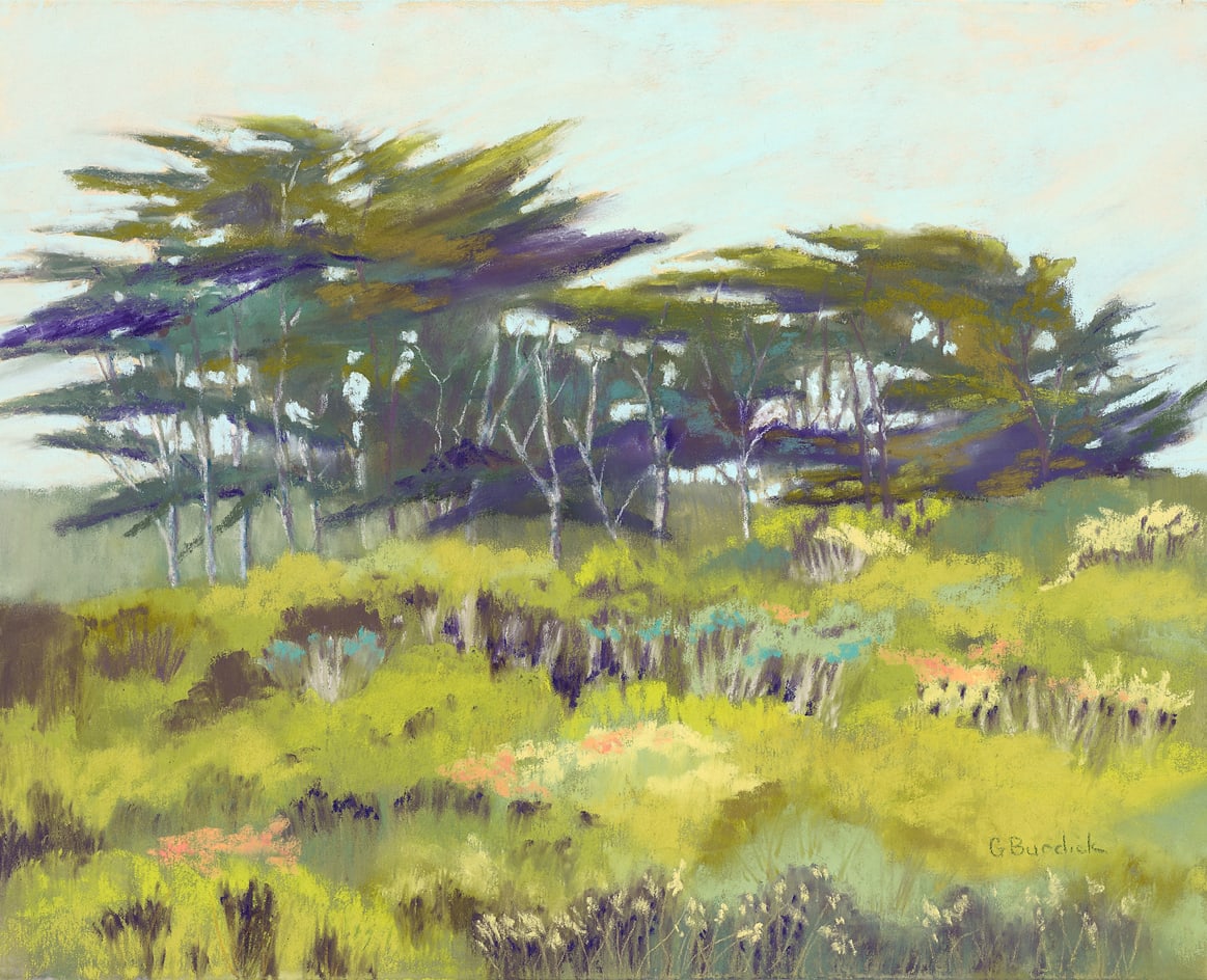 Cypress Rythms by Ginny Burdick 