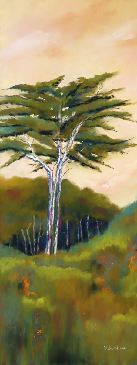 Elegance by Ginny Burdick  Image: Beautiful cypress along the California Coast.