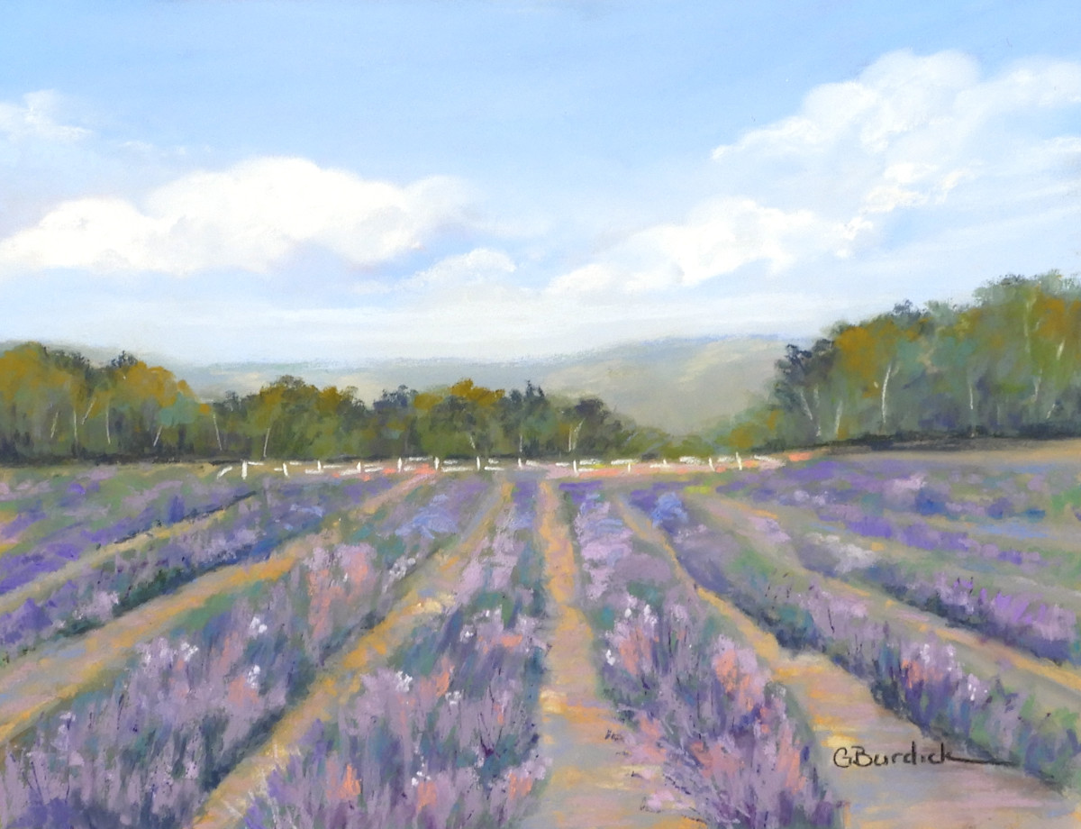 Fields of Lavender by Ginny Burdick 