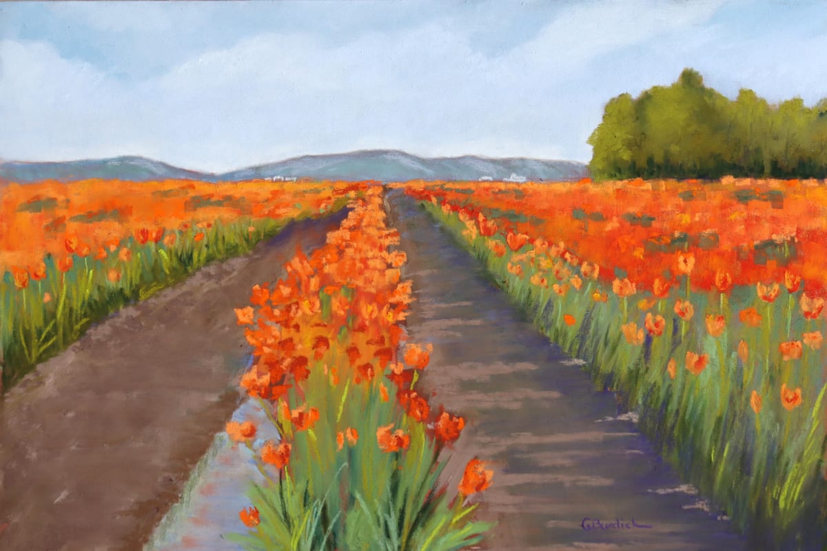 Harmony by Ginny Burdick 