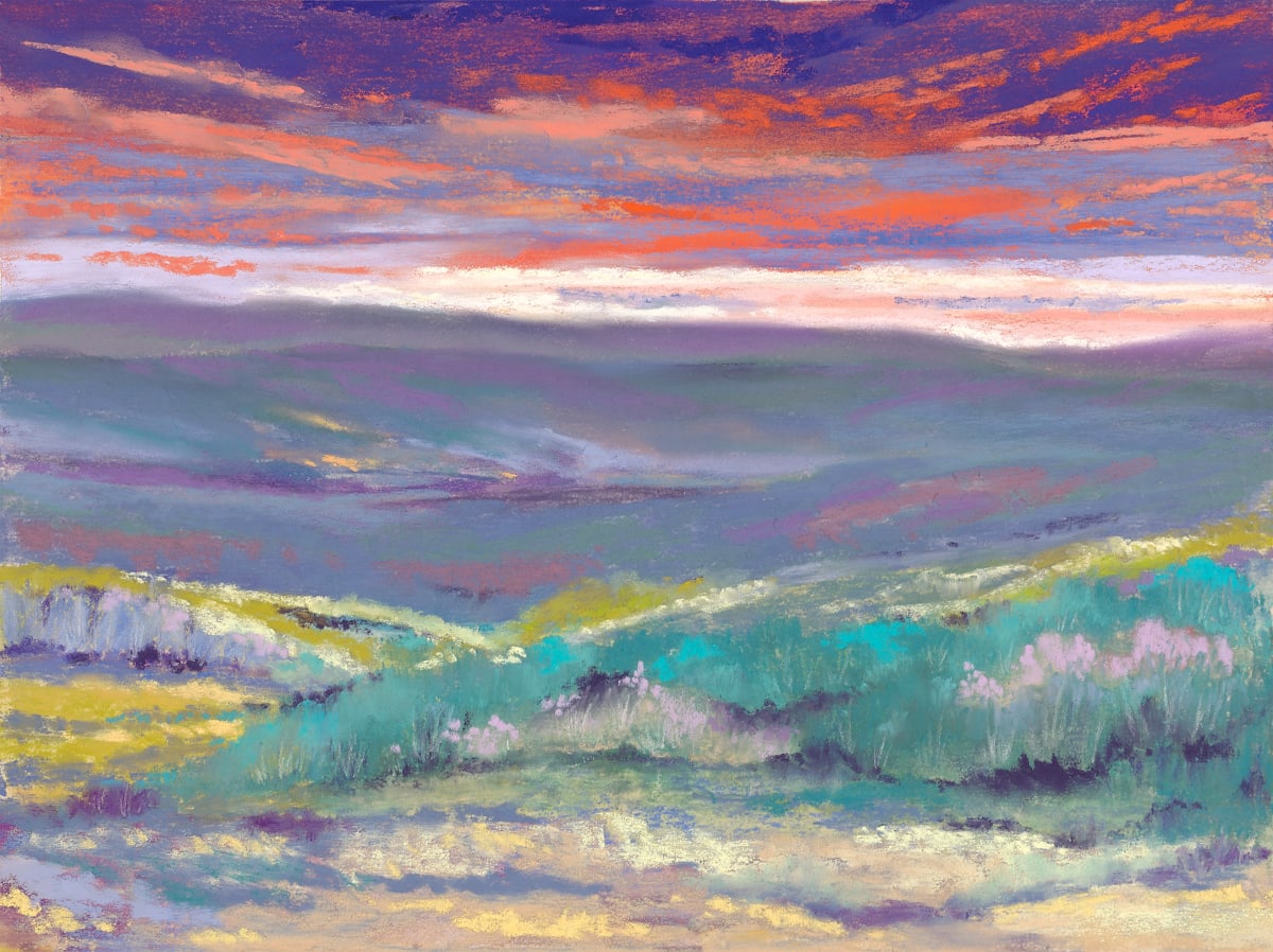 Light on Corrizo Plain by Ginny Burdick 