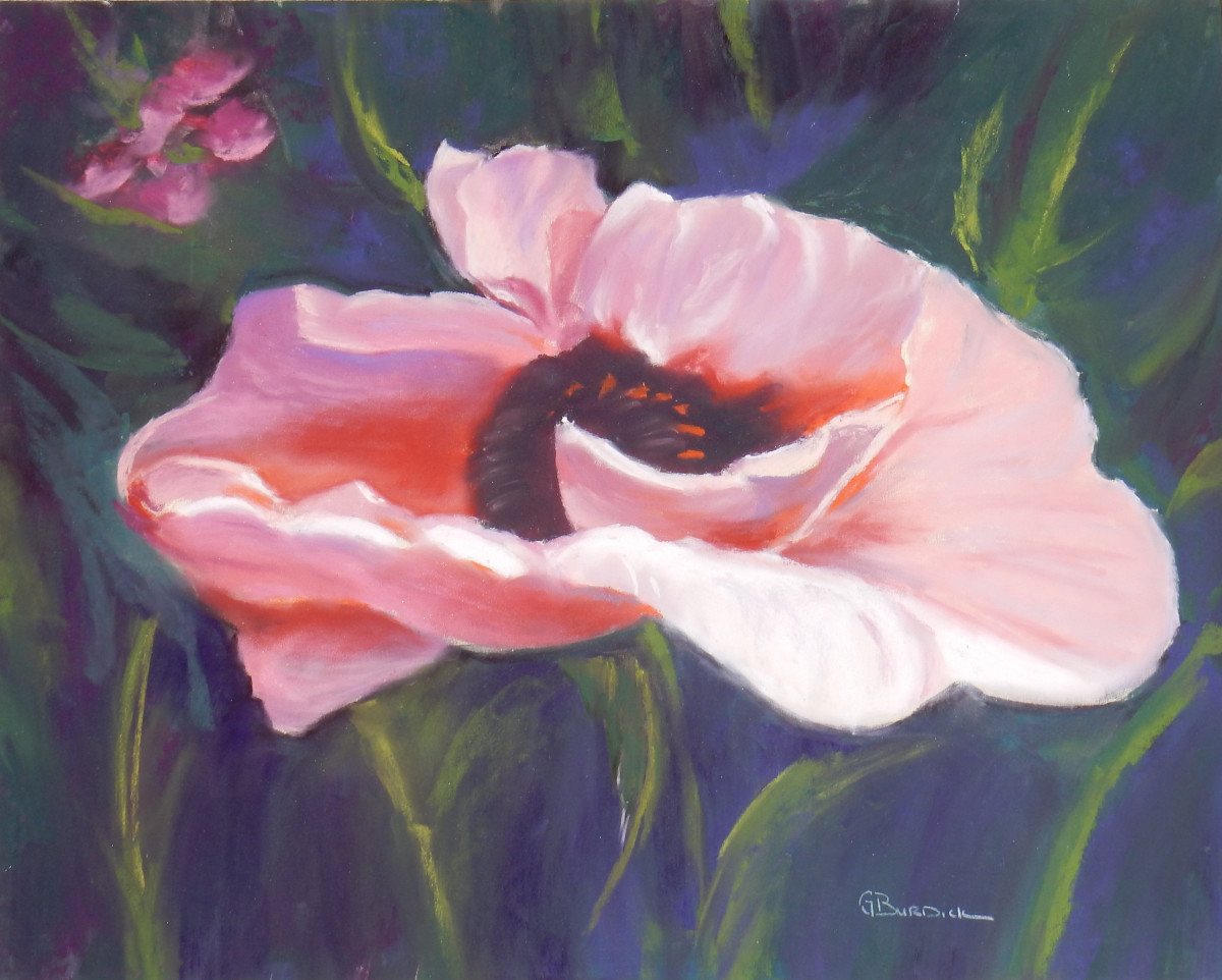 Lone Poppy by Ginny Burdick 