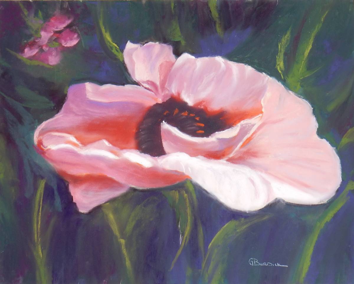 Lone Poppy by Ginny Burdick, Image 1.