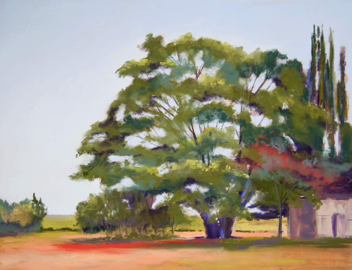 The Wedding Tree by Ginny Burdick 