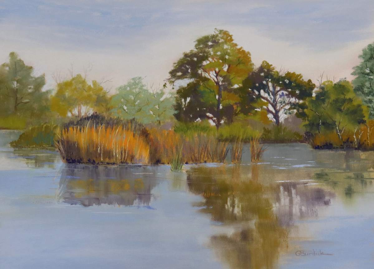 Wetlands Reflection, Image 1.
