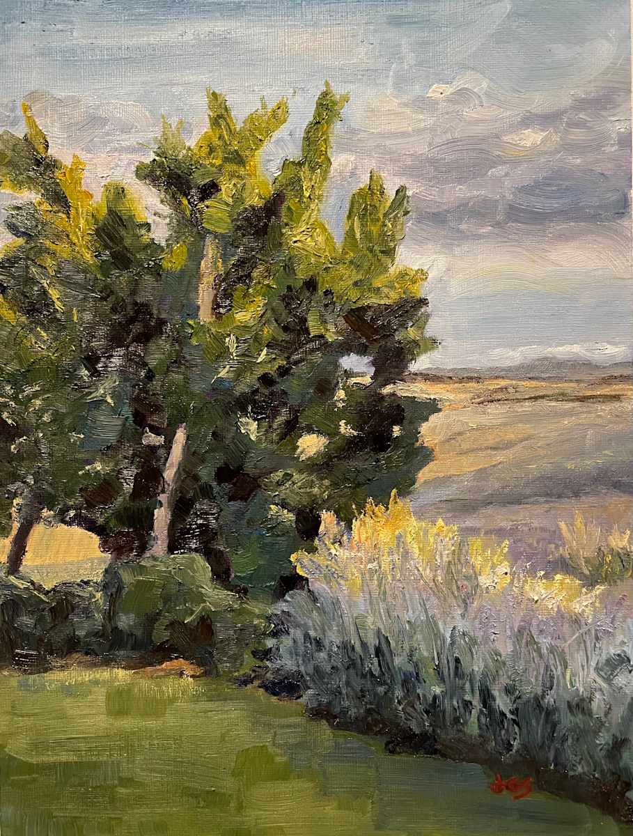 Evening View from Podere Le Colline, Pienza by Jennifer Gorman-Strawbridge 