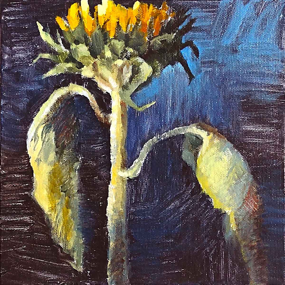 Solo Sunflower by Esther Slevinsky 