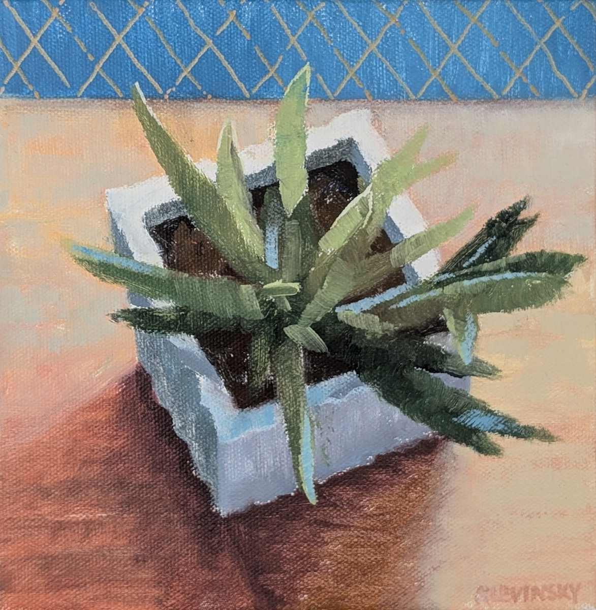Potted Succulent by Esther Slevinsky 