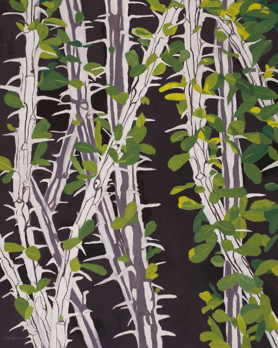 Ocotillo Puzzle by Nea Brown 