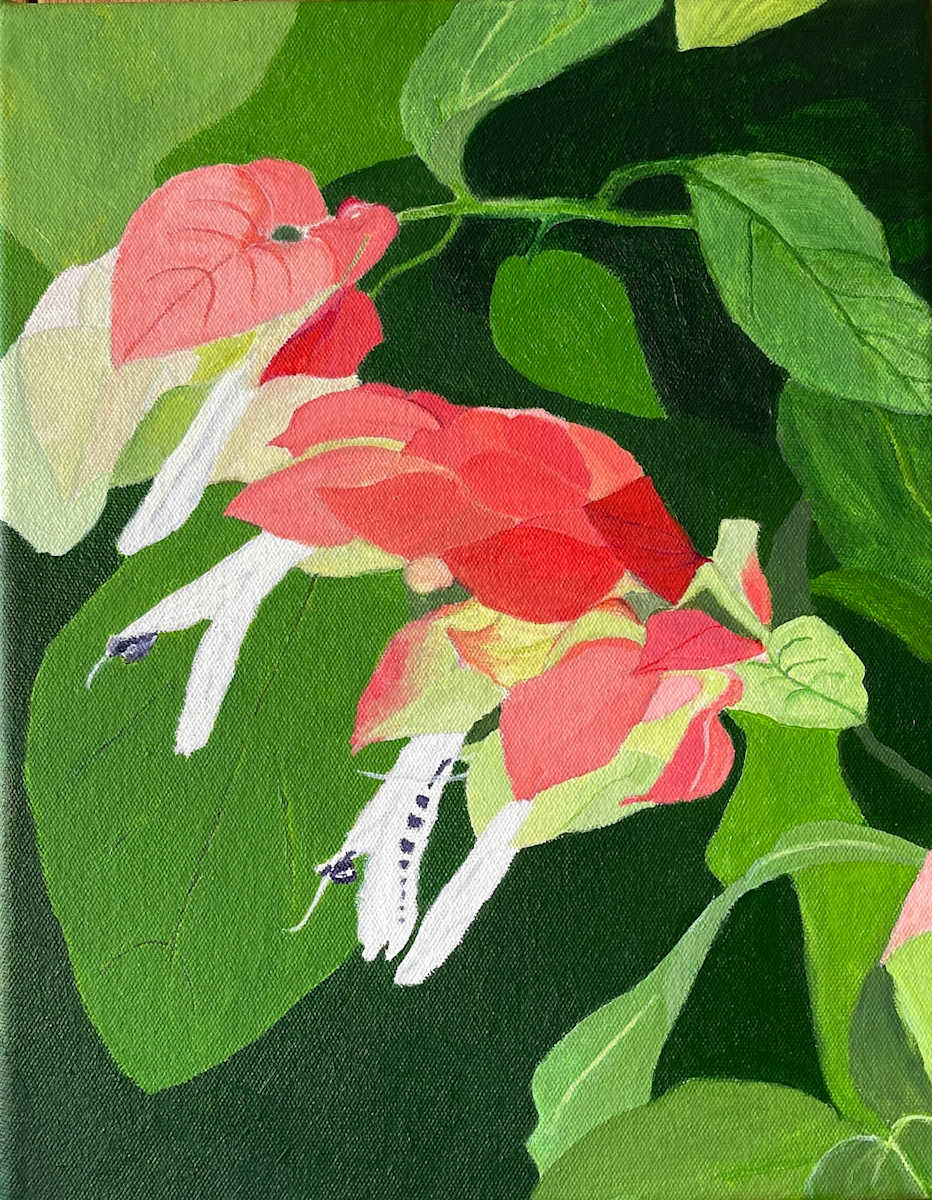 Shrimp Flower by Nea Brown 