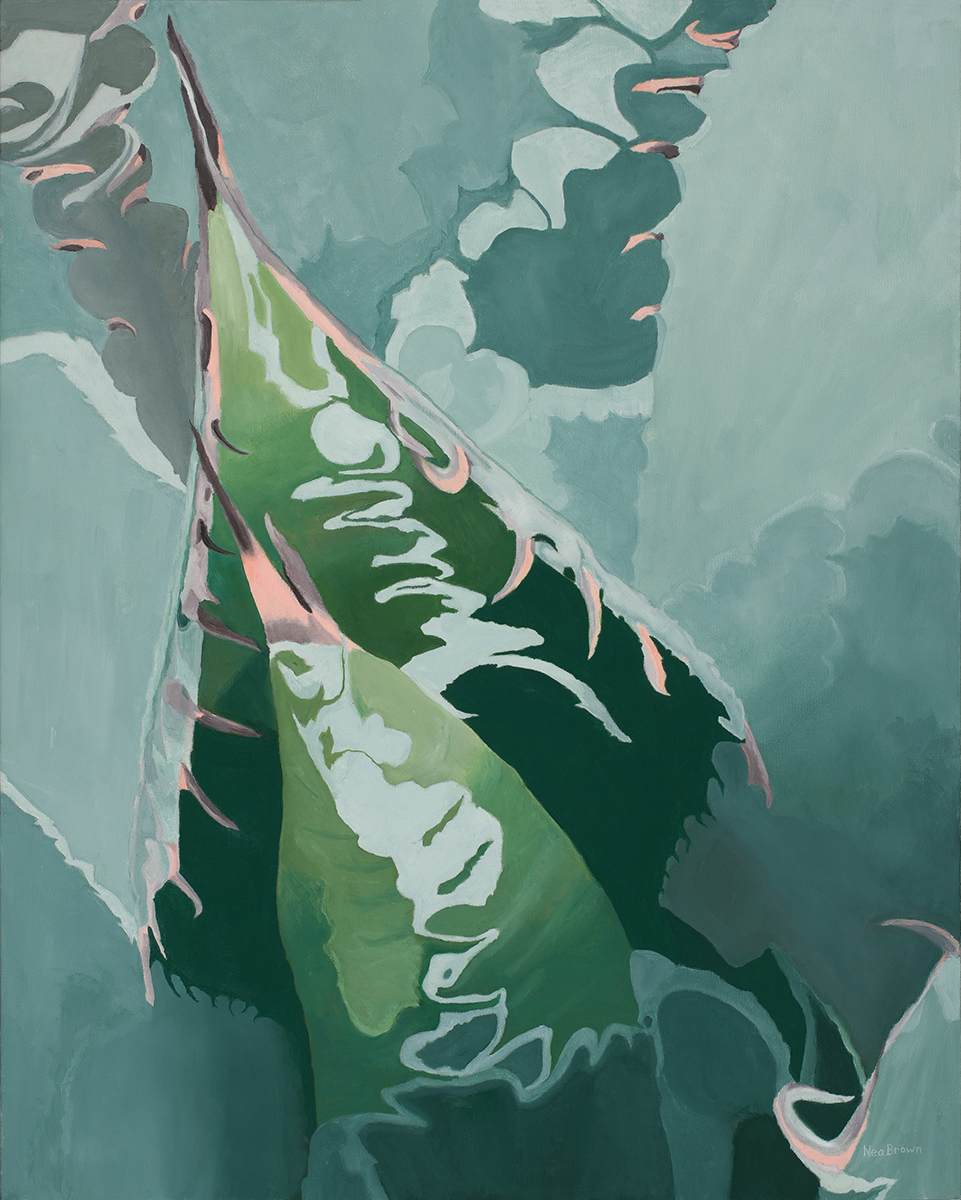 Unfurling Agave by Nea Brown 