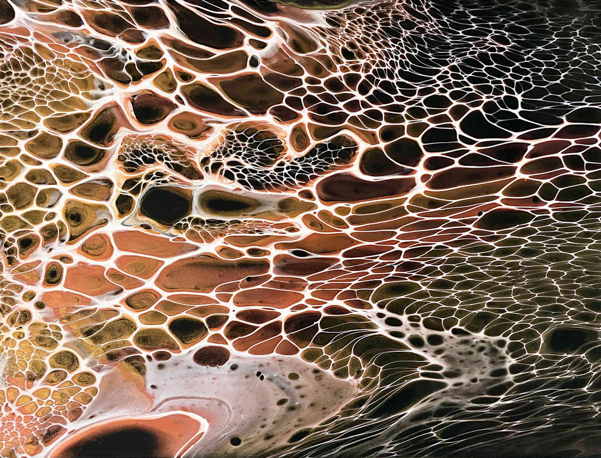 Black Lace by Martin Relton  Image: Acrylic pour swipe on canvas