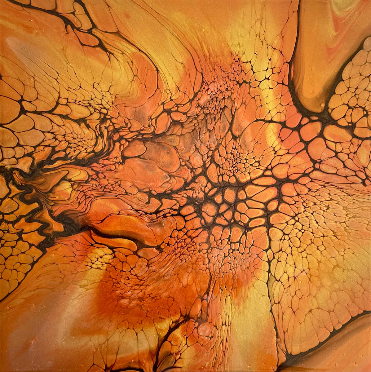 Phoenix Weave by Martin Relton  Image: Phoenix Weave