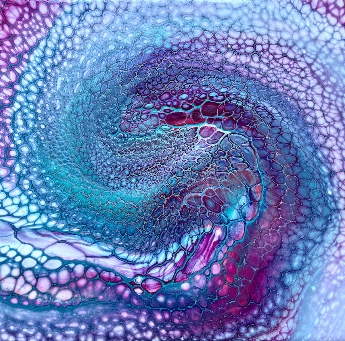 Serpentine Galaxy by Martin Relton  Image: Serpentine Galaxy