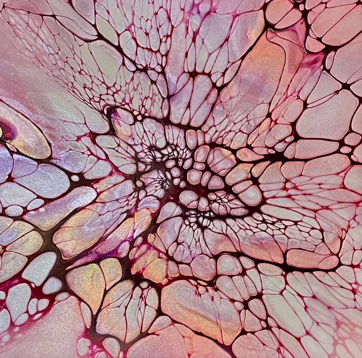 The Petal Lattice by Martin Relton  Image: The Petal Lattice
