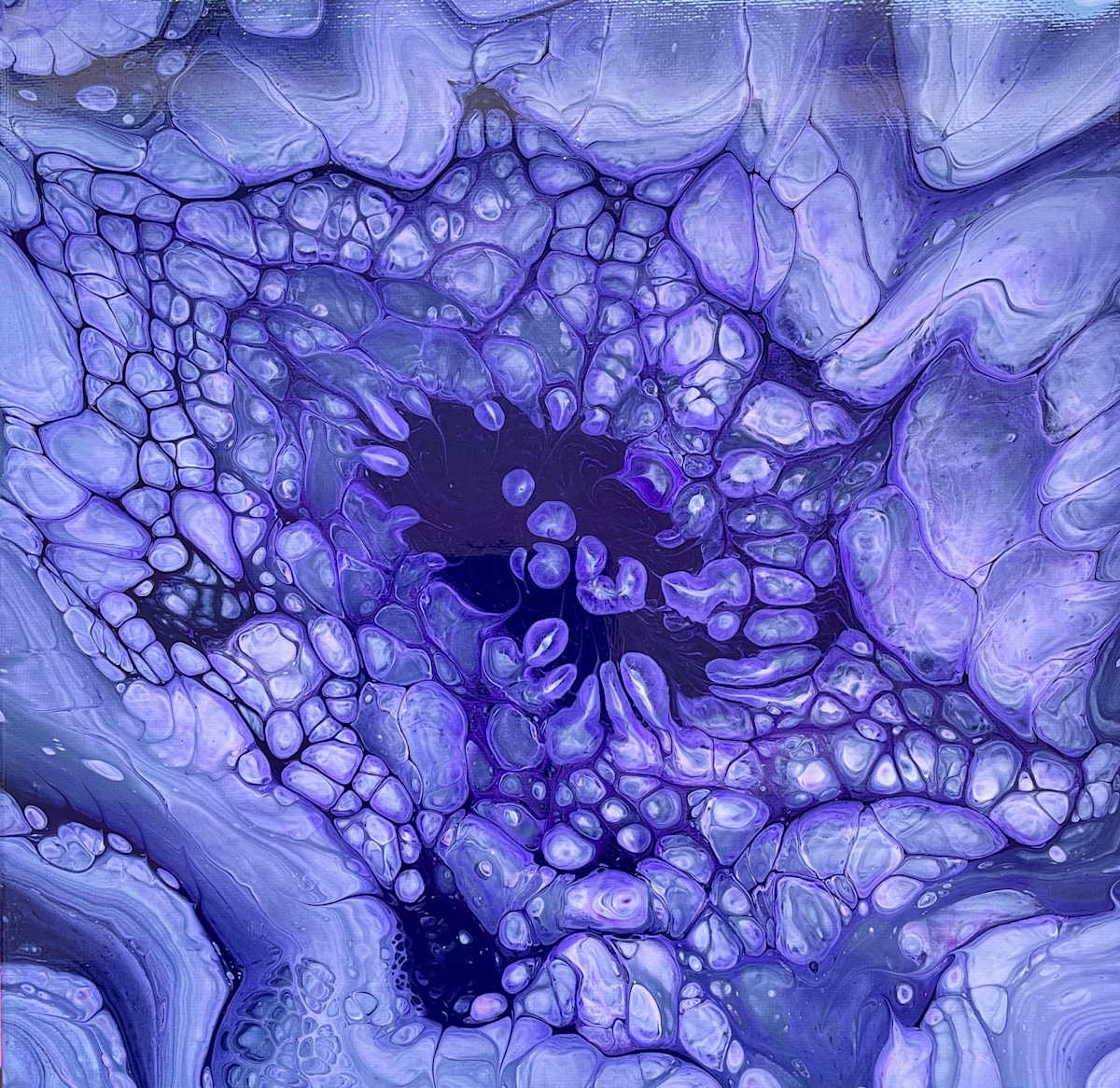 The Violet Colony by Martin Relton, Image 2.