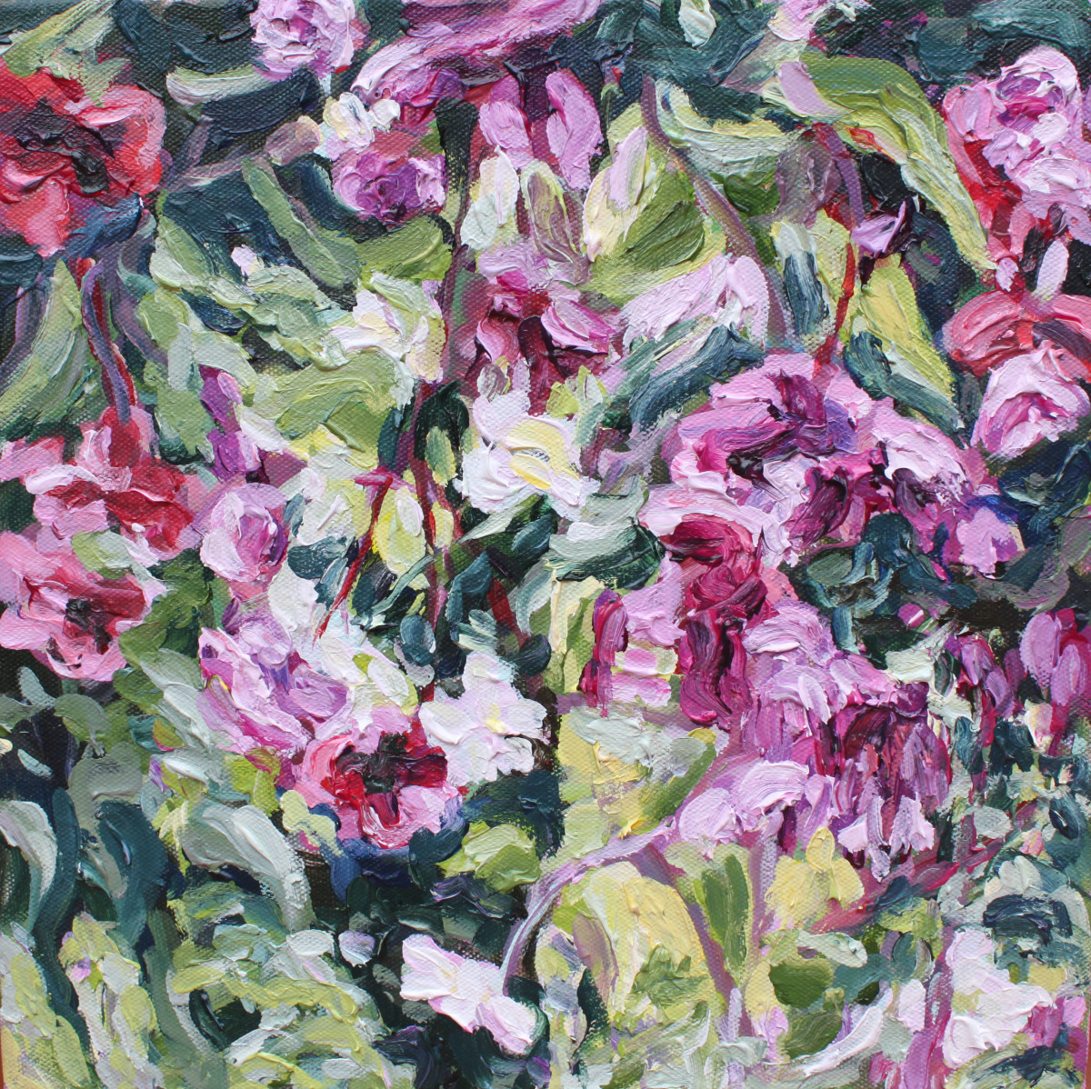 Butchart Blooms by Cath Hughes, Image 1.