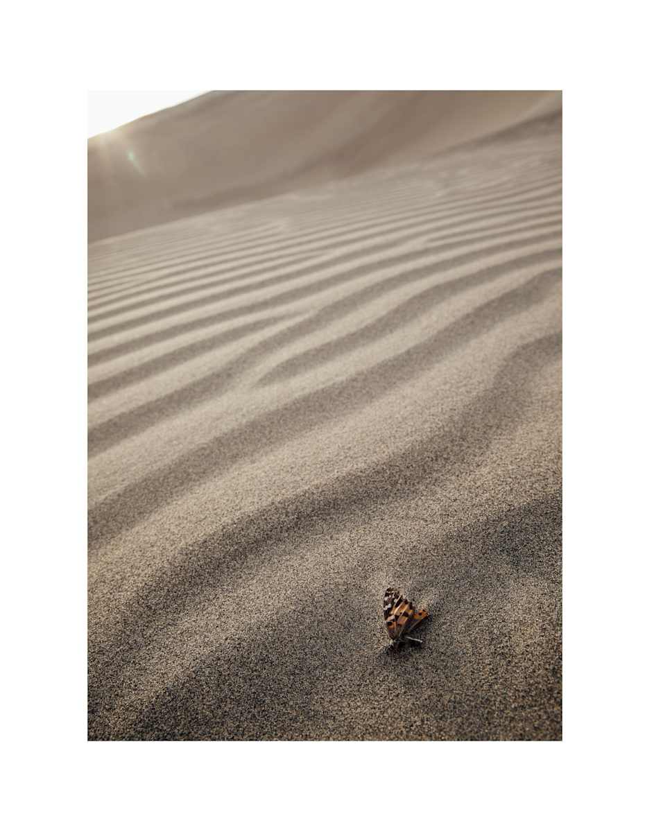 Chaos by Christine Alward, Image 9.