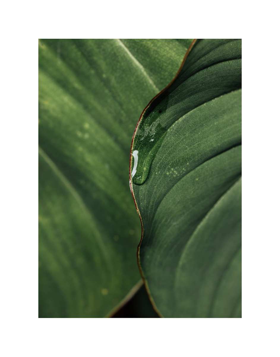 Infatuated by Christine Alward, Image 14.