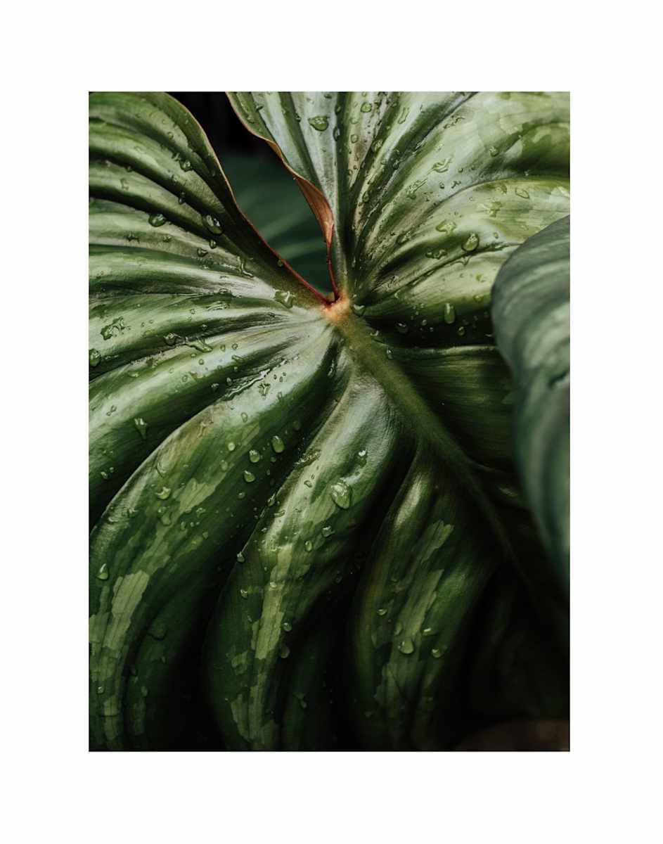 The Future is Female by Christine Alward, Image 2.