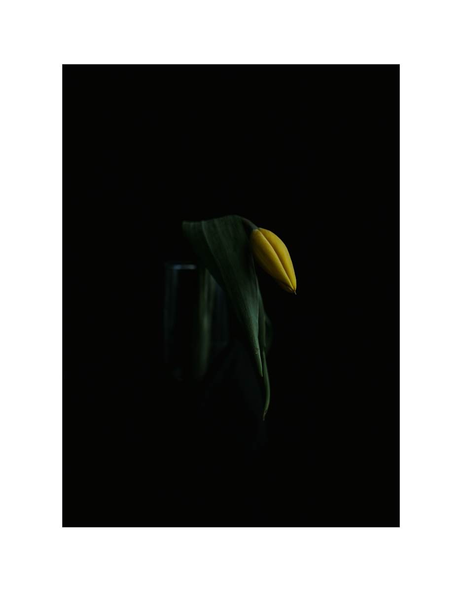 Weight of the World by Christine Alward, Image 1.