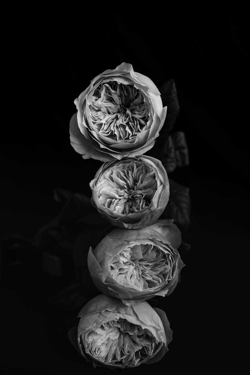 Stacked Odds by Christine Alward, Image 6.