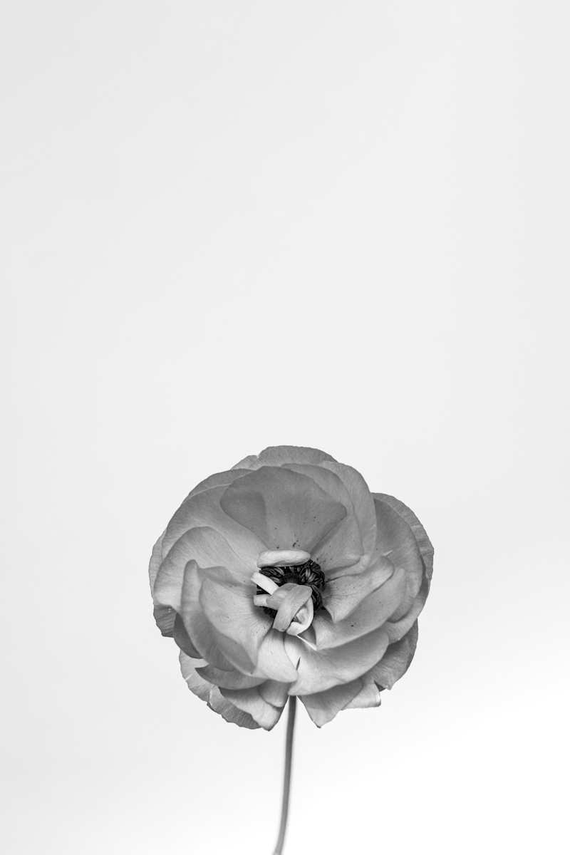 Introverted by Christine Alward, Image 9.