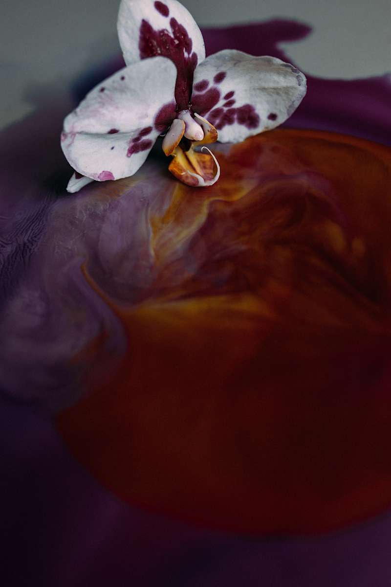 Leave it All on Stage by Christine Alward, Image 10.