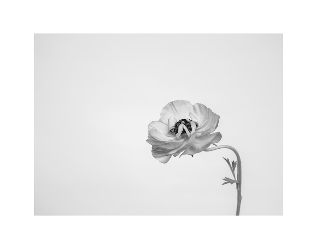 So Dramatic by Christine Alward 