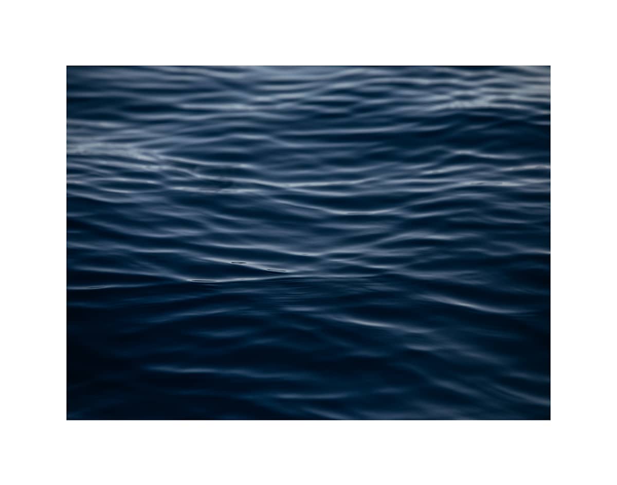 Whale Song by Christine Alward, Image 3.