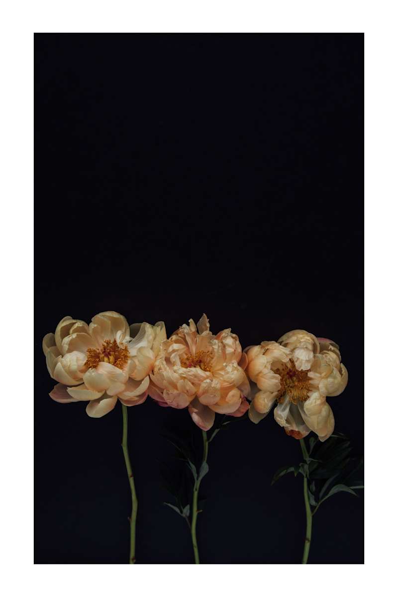 Hey Sis by Christine Alward, Image 5.