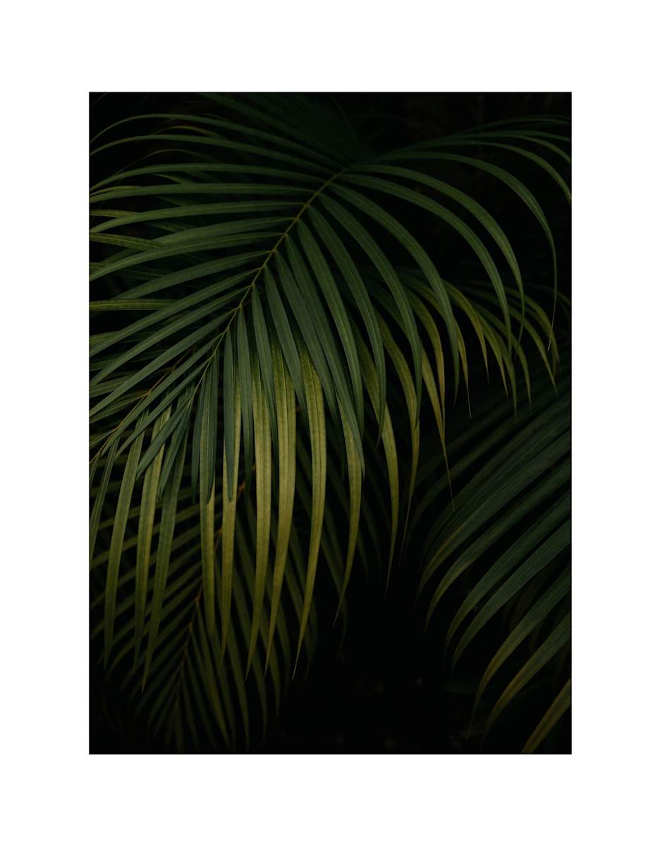 Hold My Hand by Christine Alward, Image 8.