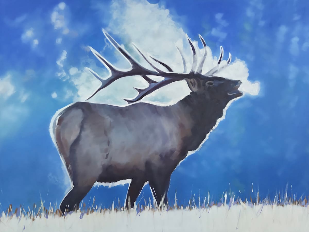 Elk by Matthew Jacobson 