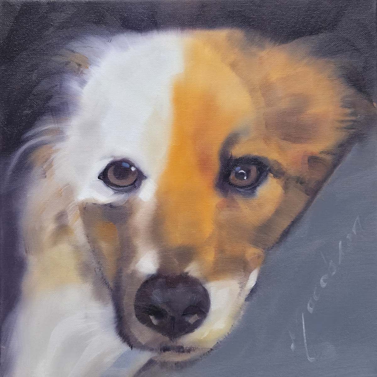 Noki by Matthew Jacobson, Image 1.