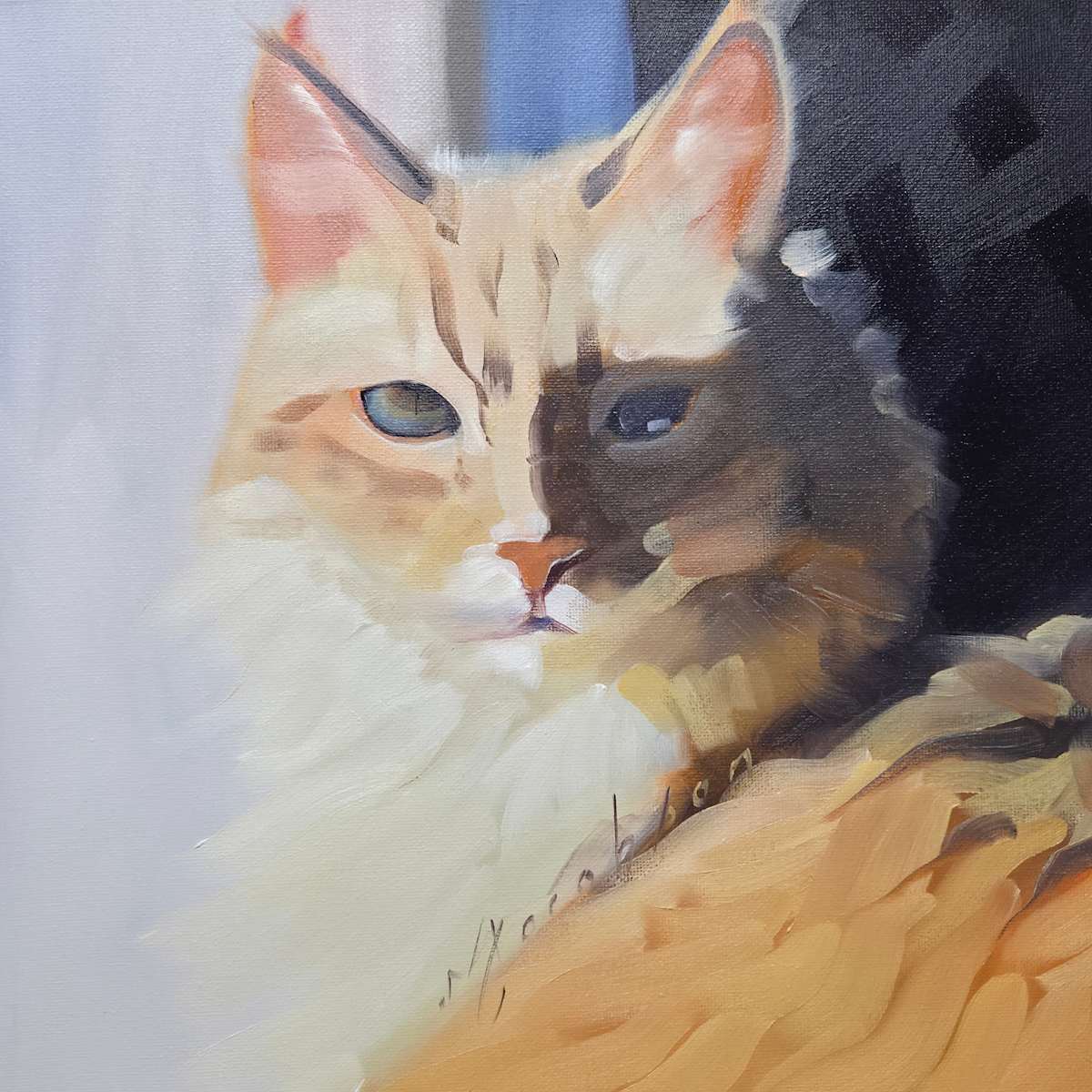 Orange Cat by Matthew Jacobson, Image 1.