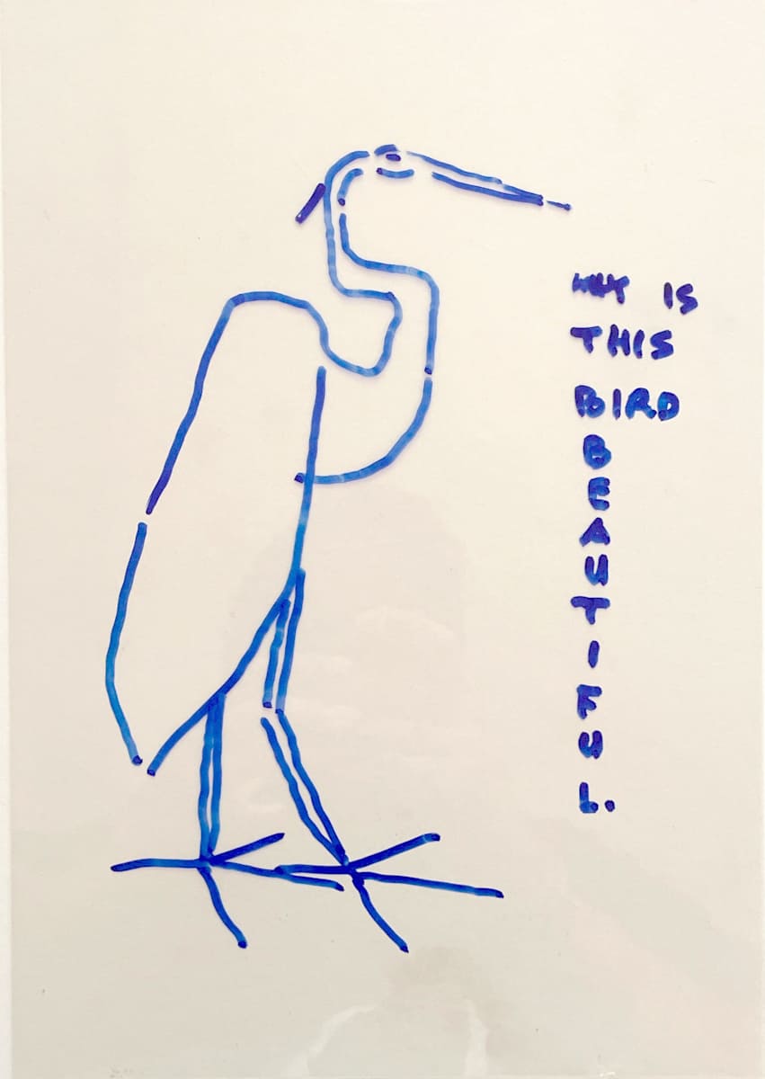 Why is this bird beautiful by Aditya Prakash (1924-2008) 