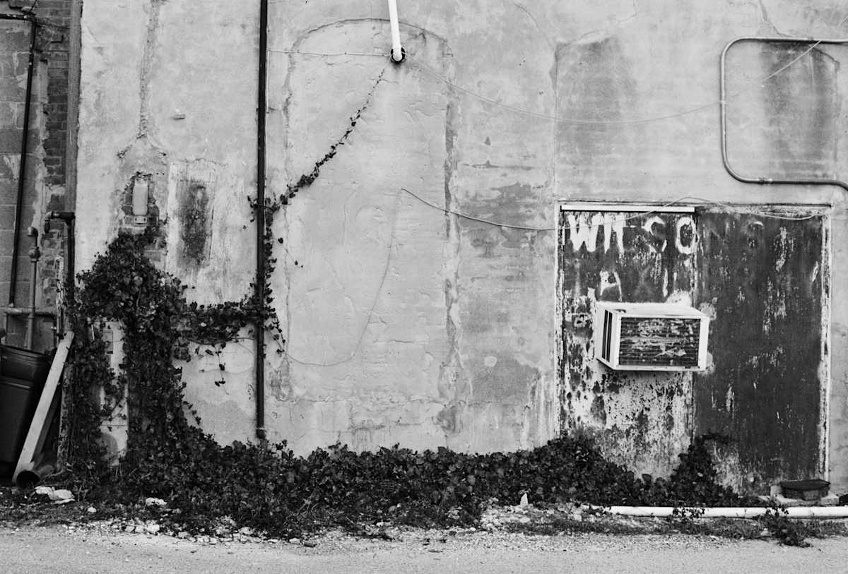 Wilson's by Pam Powell, Image 1.