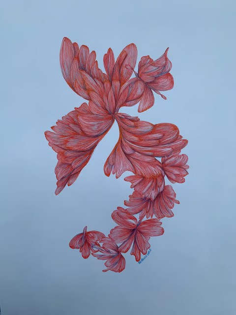 Along the Cayman Wall by Barbara Wentzell Jaquith  Image:  From the depths, this beautiful coral reaches up for the light.