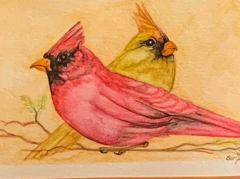 Cardinals by Barbara Wentzell Jaquith  Image: A pair of Cardinals