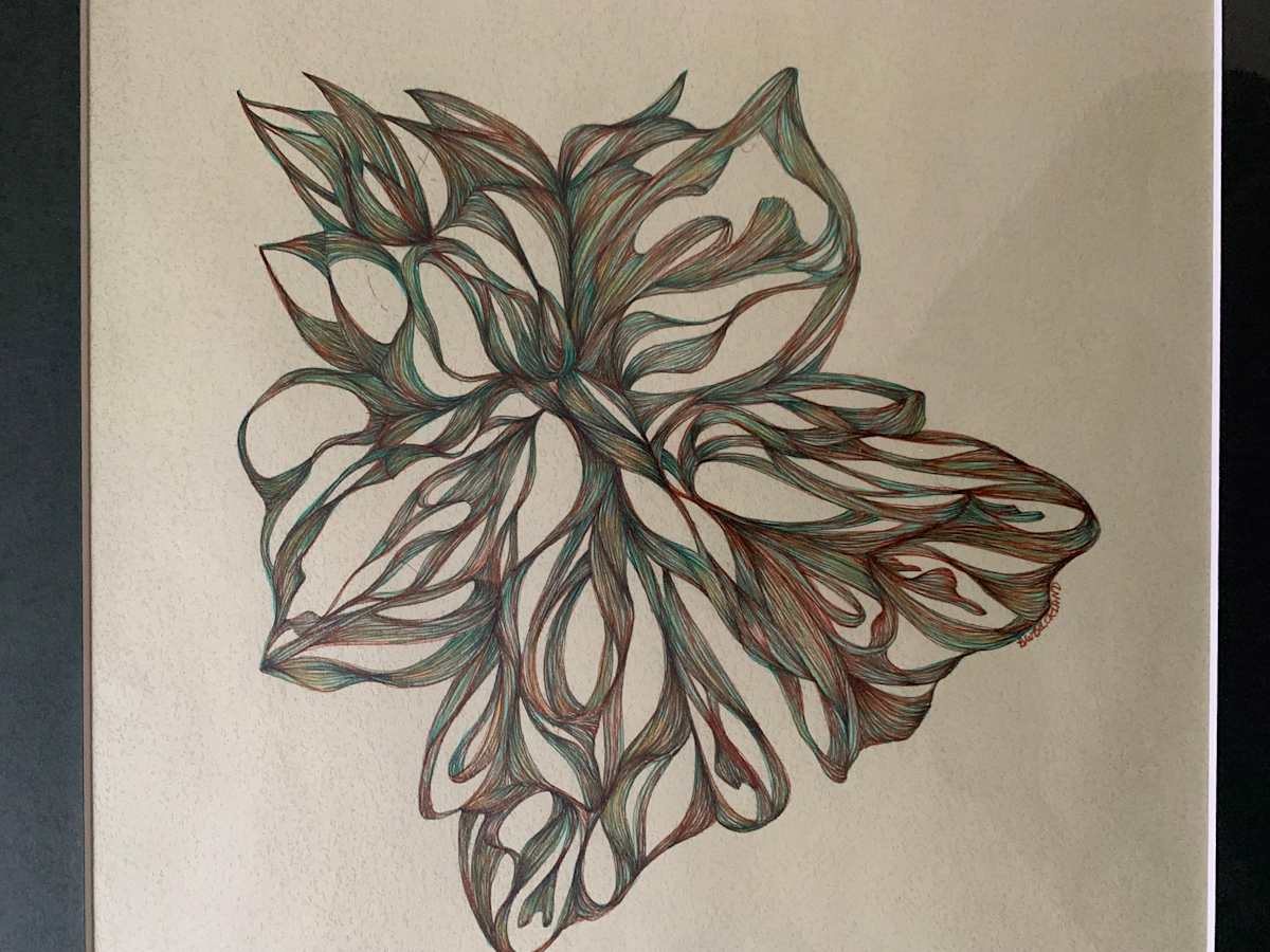 Unbound by Barbara Wentzell Jaquith, Image 1.