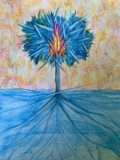 Roots Series 9; Lewiston by Barbara Wentzell Jaquith  Image: A tree in Maine begins to show its fall color.