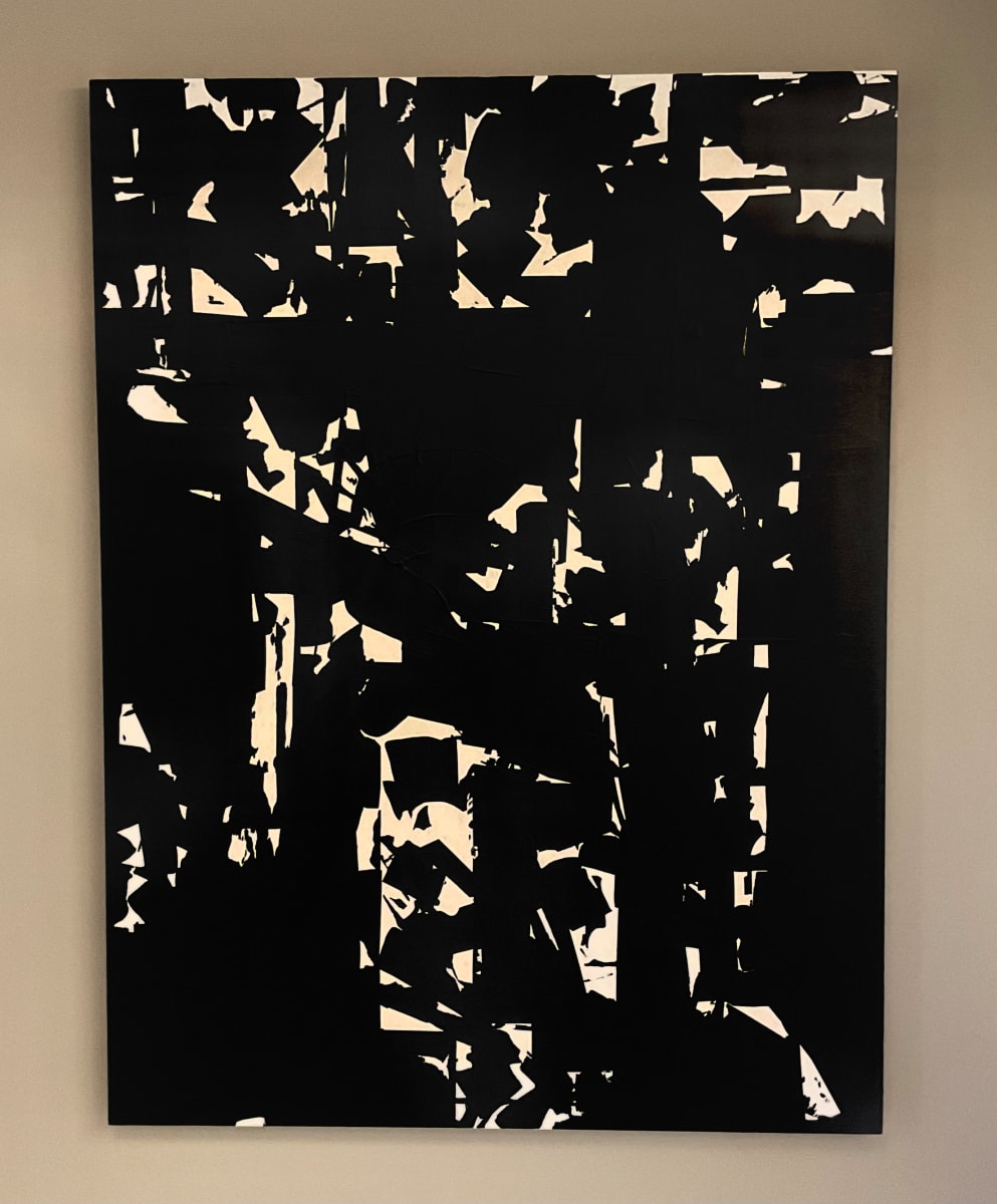 Love Shadows by Paul Colacicco 