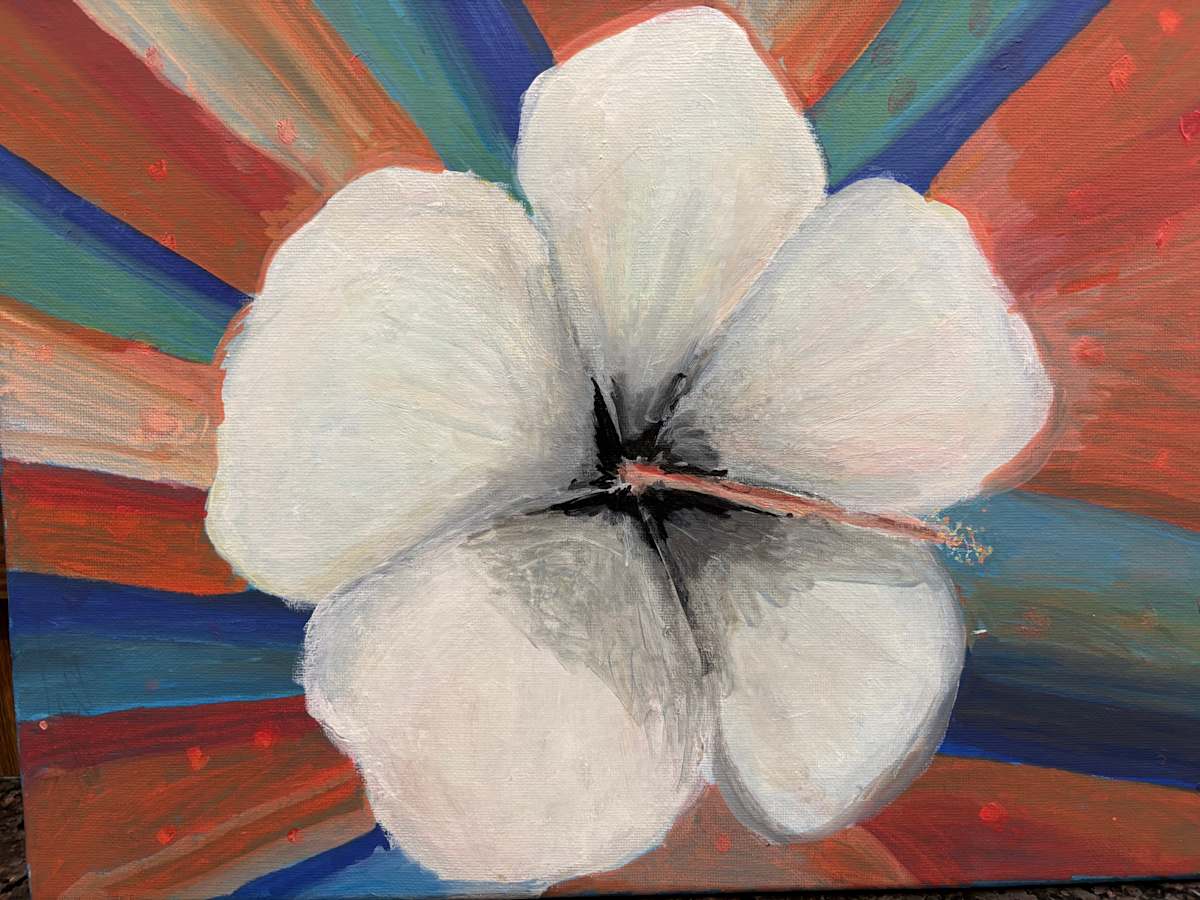 A Delicate Bloom by Aaryan Shanmuga  Image: White Hibiscus – purity in bloom, glowing against a vibrant world