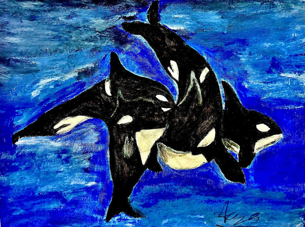 Orca Pod by Aaryan S  Image: Orca Pod