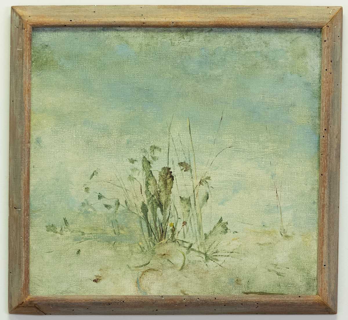 Dandelions and Grasses by Walter Stein 