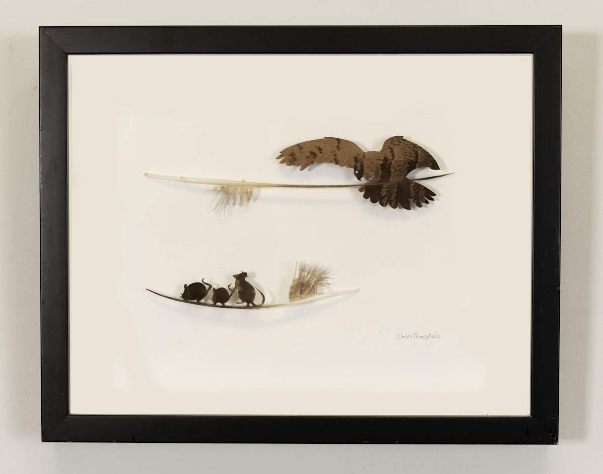 Hover by Chris Maynard, Image 1.